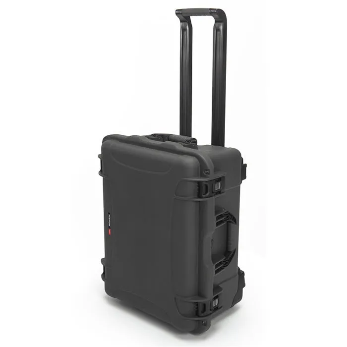 Nanuk 950 Case